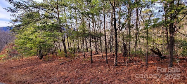 V/L Chickasaw Way Unit 2B, Marion, NC 28752 - photo 2