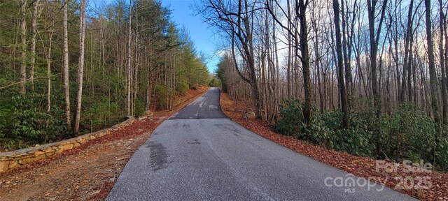 V/L Chickasaw Way Unit 2B, Marion, NC 28752 - photo 7