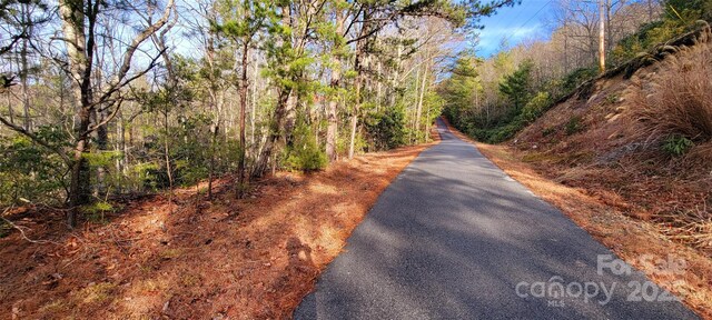 V/L Chickasaw Way Unit 2B, Marion, NC 28752 - photo 8