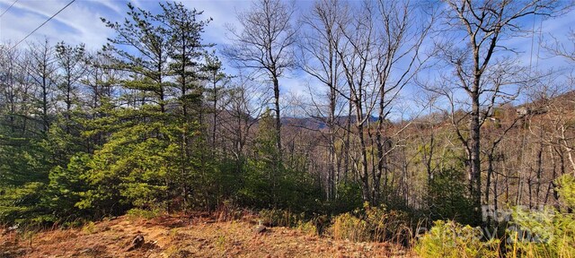 V/L Chickasaw Way Unit 2B, Marion, NC 28752 - photo 9