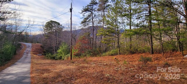 V/L Chickasaw Way Unit 2B, Marion, NC 28752 - photo 10