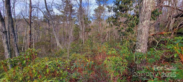 V/L Chickasaw Way Unit 2B, Marion, NC 28752 - photo 12