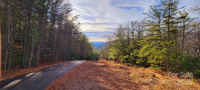V/L Chickasaw Way Unit 2B, Marion, NC 28752 - photo 15