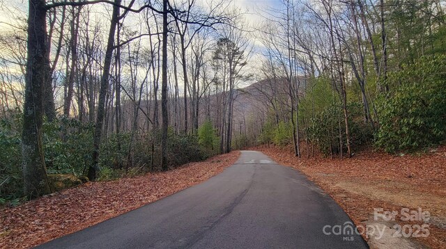 V/L Chickasaw Way Unit 2B, Marion, NC 28752 - photo 16