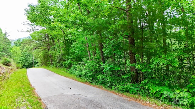 55 Chickasaw Way Unit 3B, Marion, NC 28752 - photo 3