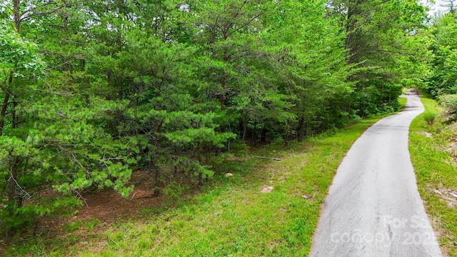 55 Chickasaw Way Unit 3B, Marion, NC 28752 - photo 4