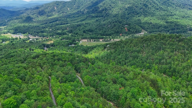 55 Chickasaw Way Unit 3B, Marion, NC 28752 - photo 6
