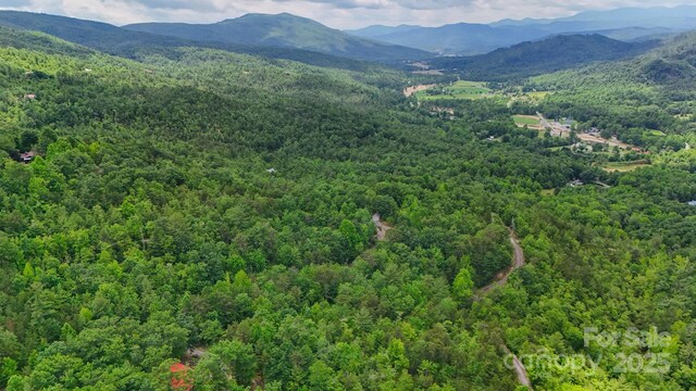55 Chickasaw Way Unit 3B, Marion, NC 28752 - photo 10
