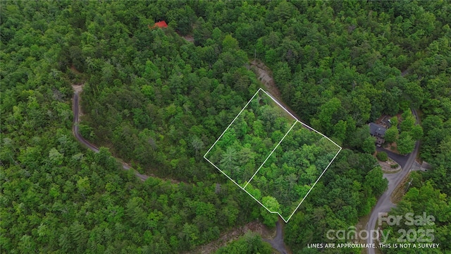 55 Chickasaw Way Unit 3B, Marion, NC 28752 - photo 13