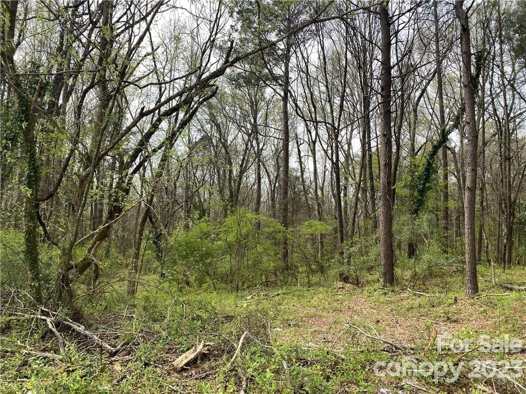 900 York Ave, Rock Hill, SC 29730 - photo 1