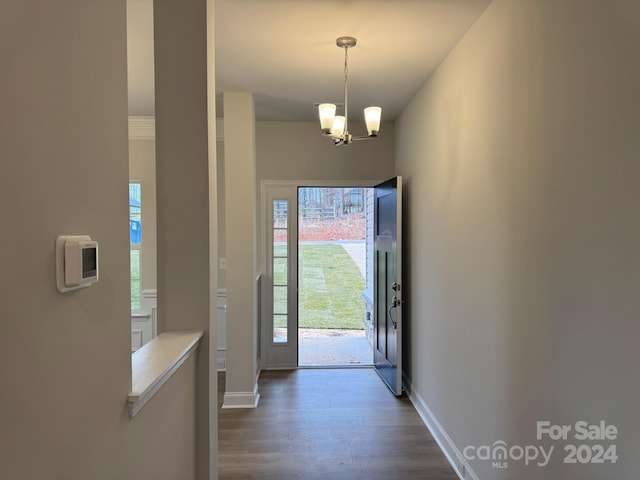 doorway to outside with dark hardwood / wood-style flooring and a notable chandelier