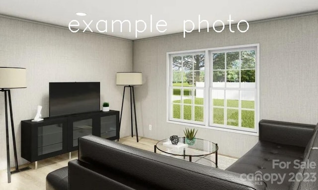 living room featuring light hardwood / wood-style flooring