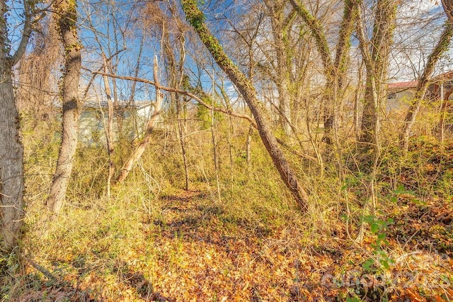 Listing photo 2 for 99999 Millbrook Rd, Asheville NC 28806