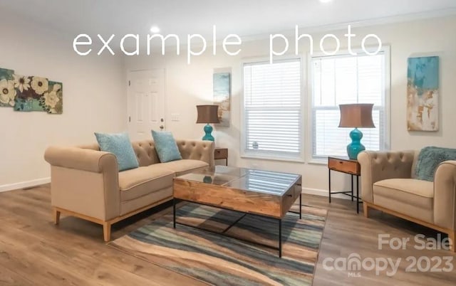 living room with crown molding and wood-type flooring