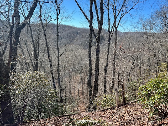 9999 Wild Rose Ln, Brevard NC, 28712 land for sale