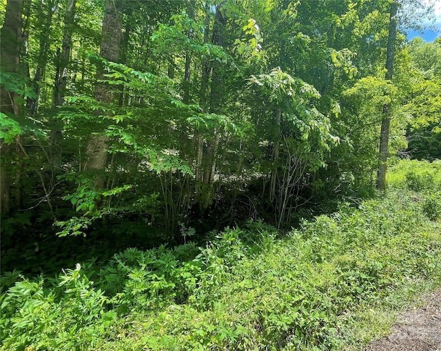 22 Zebulon Ln, Mars Hill, NC 28754