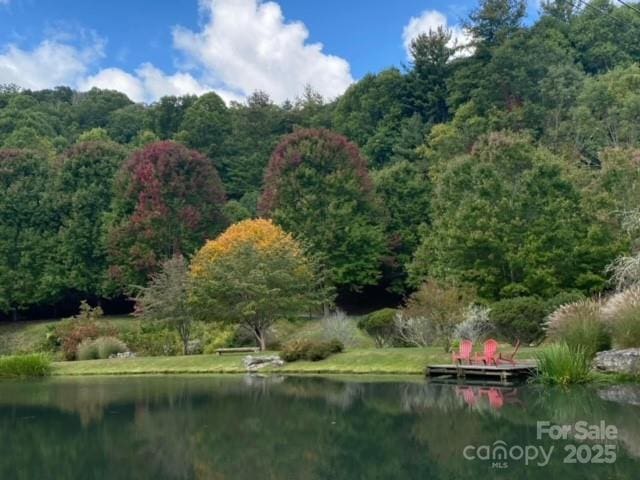 22 Zebulon Ln, Mars Hill, NC 28754