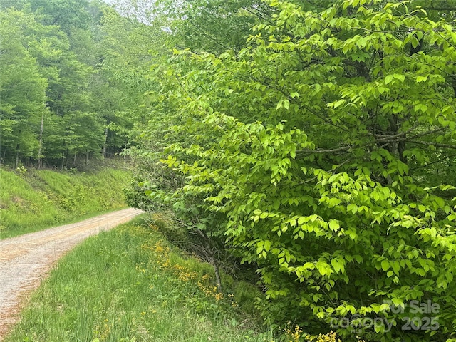 22 Zebulon Ln, Mars Hill, NC 28754