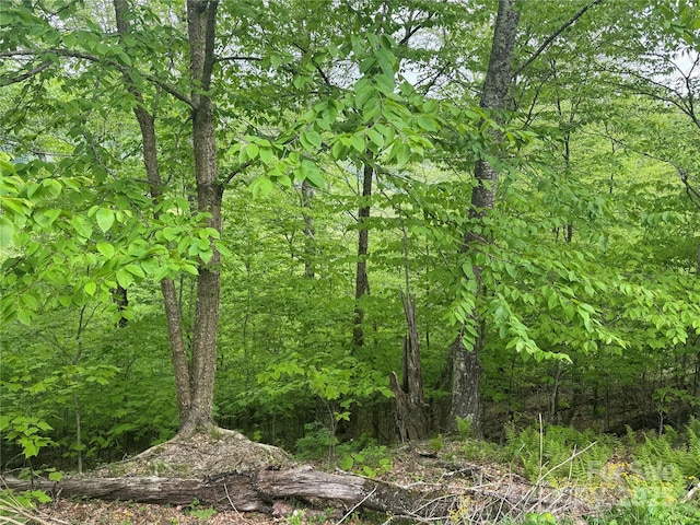 22 Zebulon Ln, Mars Hill, NC 28754