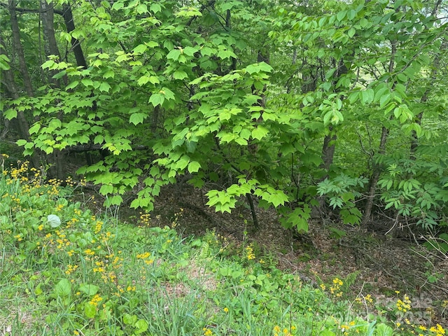 22 Zebulon Ln, Mars Hill, NC 28754