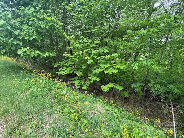 22 Zebulon Ln, Mars Hill, NC 28754