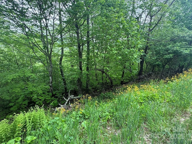22 Zebulon Ln, Mars Hill, NC 28754