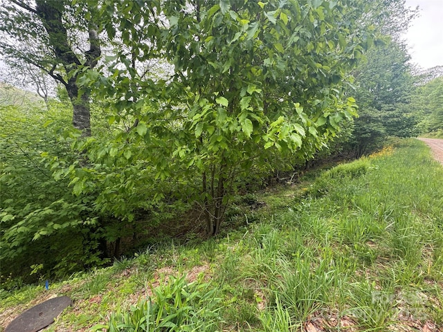 22 Zebulon Ln, Mars Hill, NC 28754