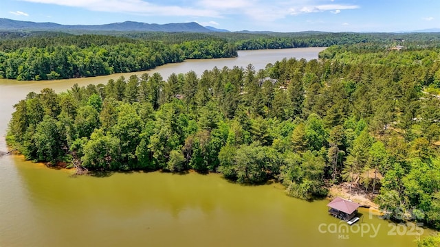 5883 Lake Ridge Ct, Granite Falls, NC 28630 - photo 18