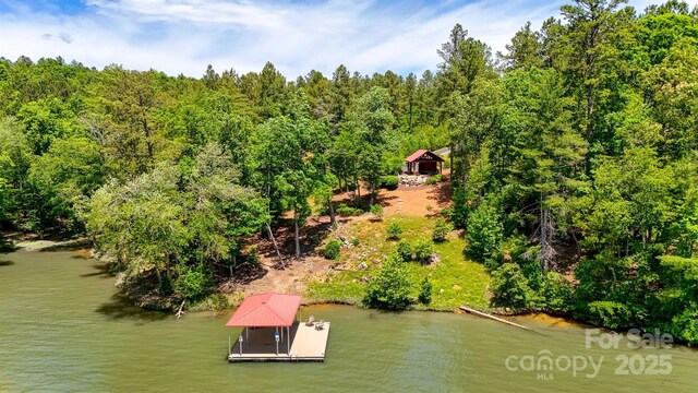 5883 Lake Ridge Ct, Granite Falls, NC 28630 - photo 16