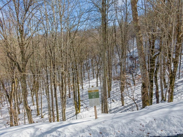 LOT42 Black Bear Run, Mars Hill NC, 28754 land for sale