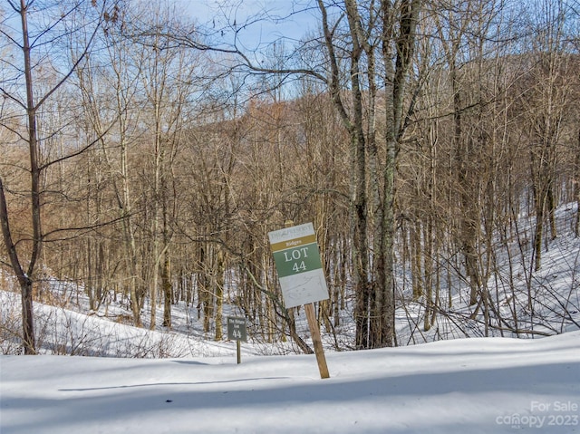 LOT44 Black Bear Run, Mars Hill NC, 28754 land for sale