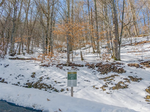 LOT45 Black Bear Run, Mars Hill NC, 28754 land for sale