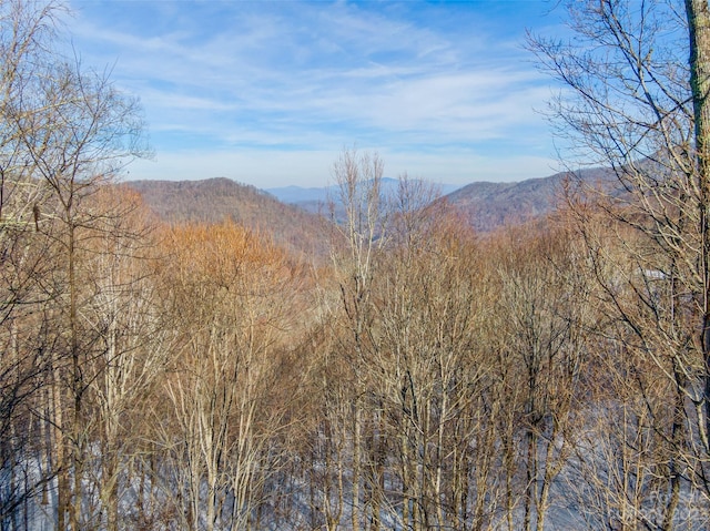 Listing photo 2 for LOT1 Mountain Gait Dr, Mars Hill NC 28754