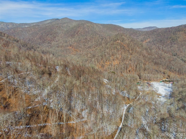 Listing photo 3 for LOT11 Settlement Way, Mars Hill NC 28754