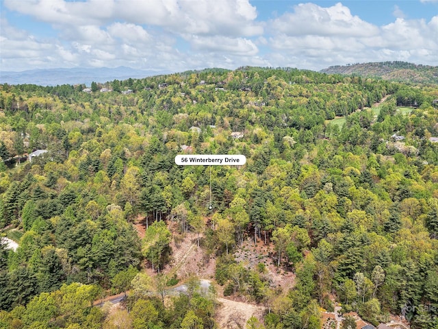 LOT56 Winterberry Dr, Hendersonville NC, 28739 land for sale