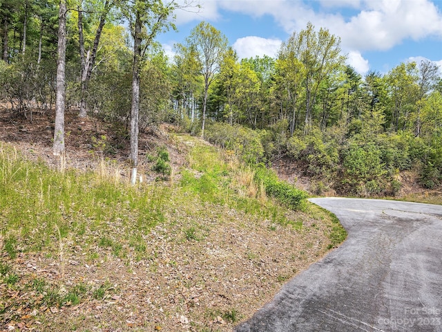 Listing photo 3 for LOT56 Winterberry Dr, Hendersonville NC 28739