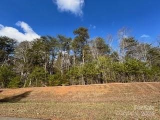 10525 Green Heron Ct, Charlotte NC, 28278 land for sale