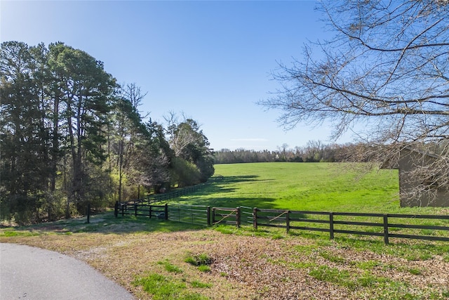 157 Melvin Hill Rd, Columbus, NC 28722 - photo 7