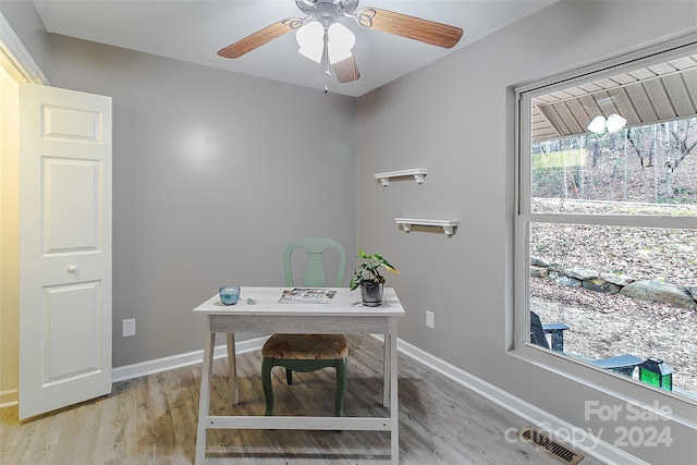 office featuring light hardwood / wood-style floors and ceiling fan