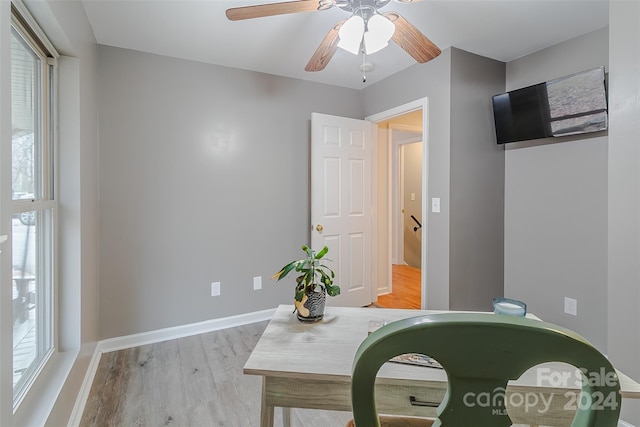 interior space featuring a wealth of natural light, light hardwood / wood-style flooring, and ceiling fan