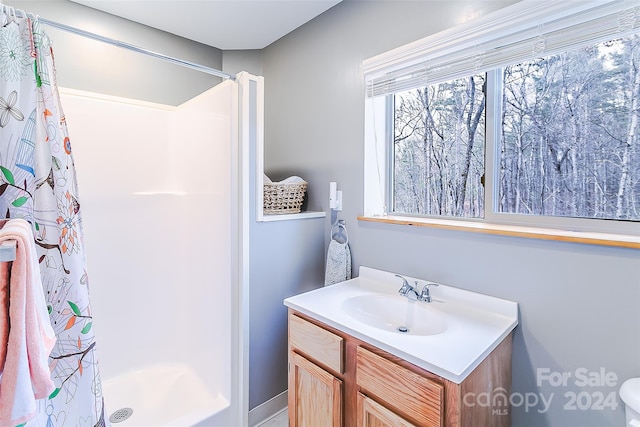 bathroom with toilet and vanity