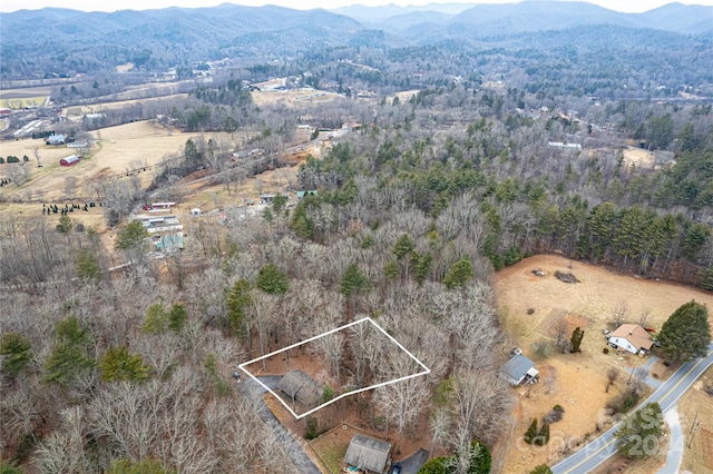 bird's eye view featuring a mountain view