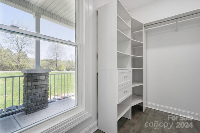 spacious closet featuring dark hardwood / wood-style flooring