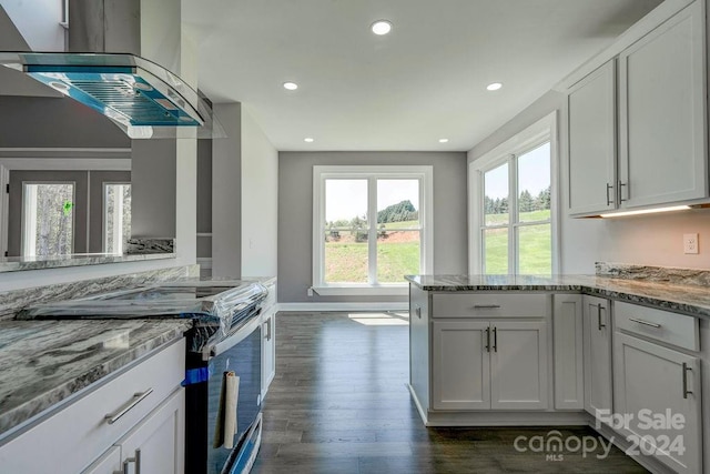 kitchen featuring white cabinets, island exhaust hood, stainless steel electric range oven, and dark hardwood / wood-style floors