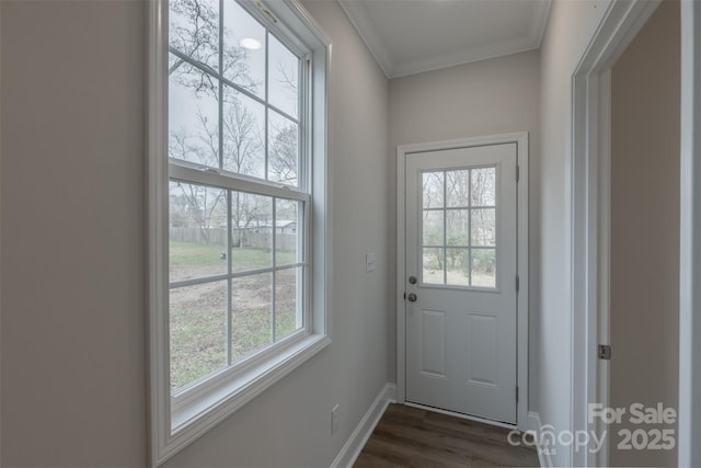 doorway to outside featuring crown molding, plenty of natural light, and dark hardwood / wood-style floors