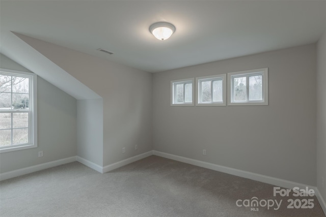 bonus room with light carpet and a healthy amount of sunlight