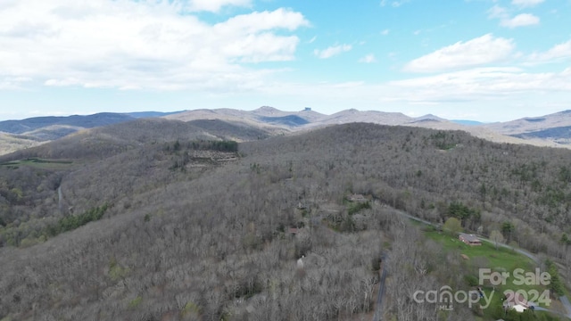 Listing photo 2 for LOT73 Linhigh Dr, Newland NC 28657