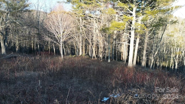 Listing photo 3 for LOT73 Linhigh Dr, Newland NC 28657