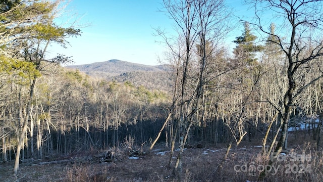 LOT73 Linhigh Dr, Newland NC, 28657 land for sale