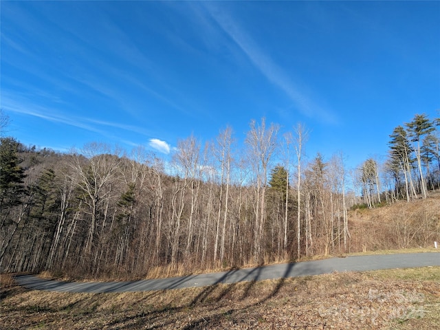 27 Bent Branch Ln Unit 10, Asheville NC, 28804 land for sale